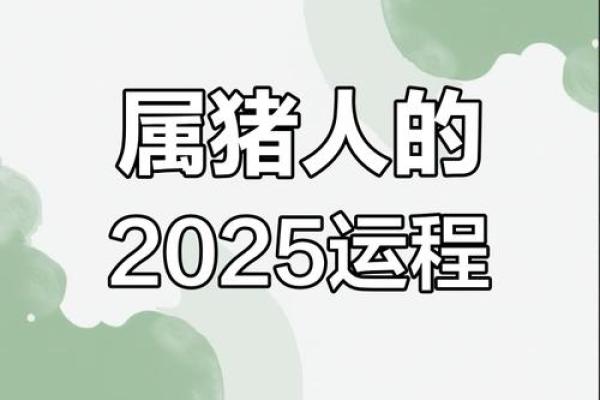 2025年猪运势及运程 2025年猪年运势详解运程预测与吉凶解析