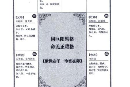 2025年4月29日酉时男命紫微斗数全解盘