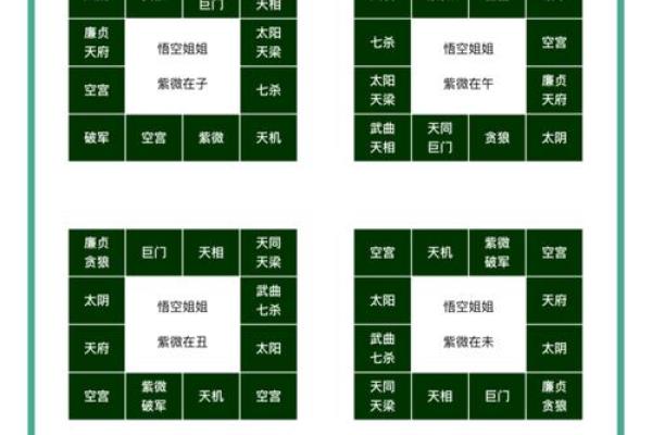 2025年4月30日辰时女命紫微斗数全解盘 2025年4月30日辰时女命紫微斗数全解盘