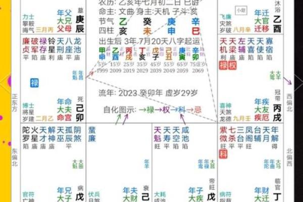 2025年4月29日申时女命紫微斗数全解盘 2025年4月29日申时女命紫微斗数全解盘