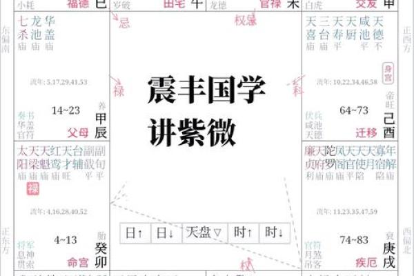 2025年4月18日申时男命紫微斗数全解盘