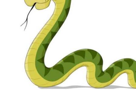 梦见蛇是什么预兆男人周公解梦