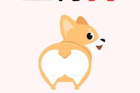 属狗2025运势 2025年属狗人运势详解事业财运爱情全解析