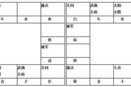 2025年4月18日子时女命紫微斗数全解盘
