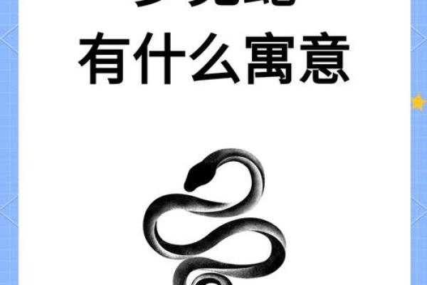 梦见满屋子都是蛇 梦见满屋子都是蛇
