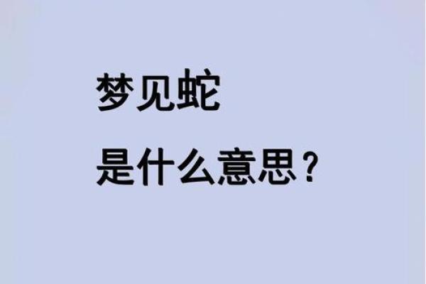 梦见满屋子都是蛇 梦见满屋子都是蛇