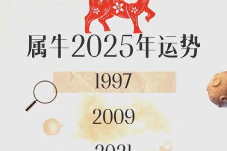 2025年属马的幸运色是什么颜色_2025属牛1985幸运色