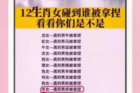 羊入虎口打一生肖(羊入虎口打一生肖是什么生肖属相)