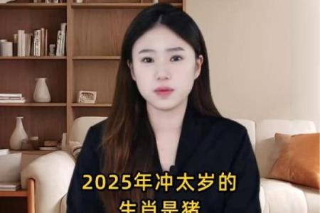 属猪2025年运势及运程_2025年属猪运势详解全年运程大揭秘