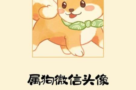 属狗跟谁一起财运好 82属狗人发横财的年龄