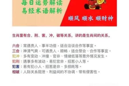 临危不惧打一个正确生肖