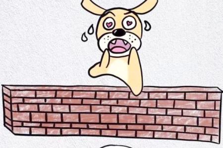 兔死狗烹打一个生肖(兔死狗烹打一最佳答案)