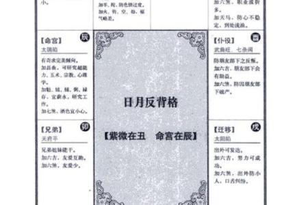 2025年4月21日申时男命紫微斗数全解盘