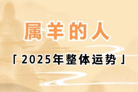 2025年属羊人适合什么颜色_2025年属羊人幸运颜色指南提升运势的最佳选择