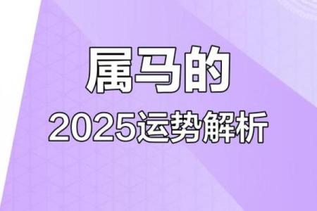 1978年属马人2025年运势详解全年运程大揭秘