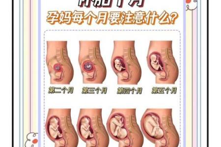 如何择生子吉日  孕妇必看的择日法则