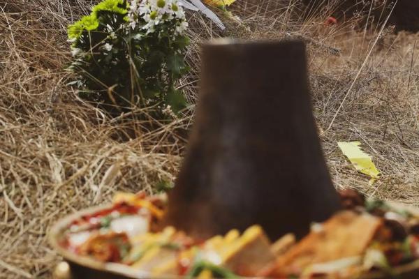 大林木命上坟的忌讳详解 上坟有什么风水禁忌 大林木命上坟的忌讳详解 上坟有什么风水禁忌