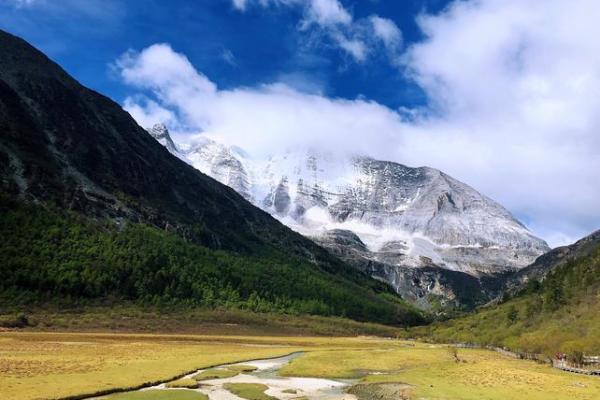 走马风水_真实上演过哪些堪比狗血剧情的事情
