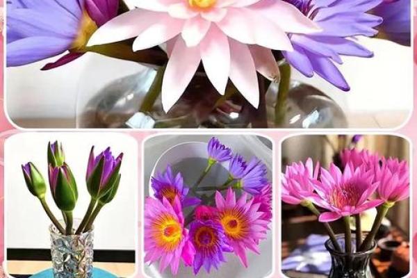 假花影响风水真的吗有哪些说法 假花影响风水真的吗有哪些说法