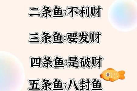 办公室养鱼风水也有讲究 不注意的话就犯了大忌