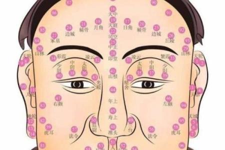 风水解读狐狸眼睛的女人面相怎么样