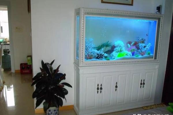 家里鱼缸风水 家里鱼缸风水