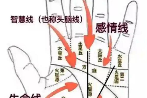 女性左手掌纹手相算命准吗 女性左手掌纹手相算命准吗