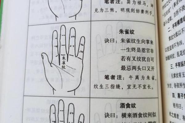 女性左手掌纹手相算命准吗 女性左手掌纹手相算命准吗