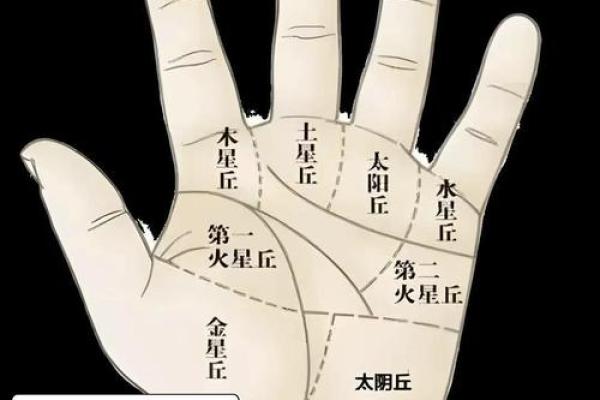 免费拍照看手相算命