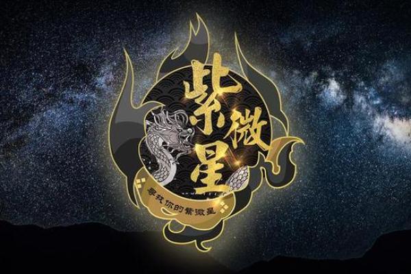 赵匡胤紫薇斗数 赵匡胤紫薇斗数