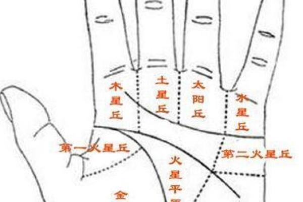 女人右手掌纹图解算命 女人右手掌纹图解算命