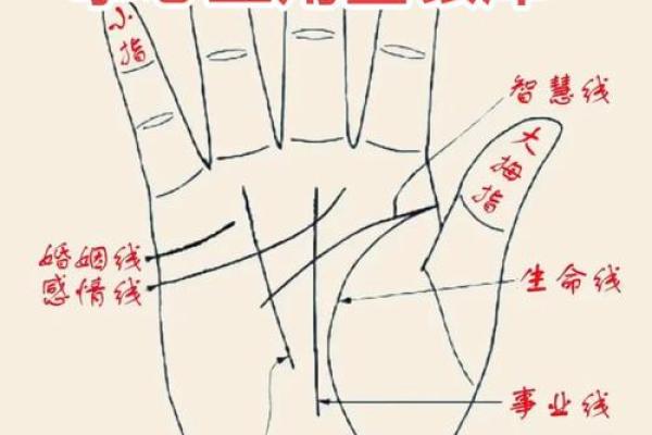 手相-掌丘算命图解