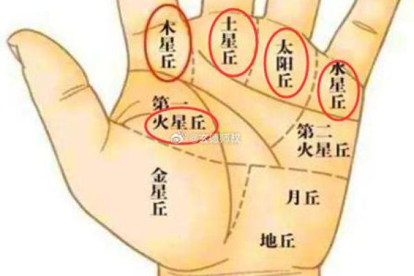 手相-掌丘算命图解