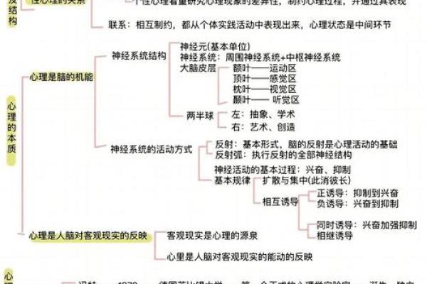 心理学与算命详解书