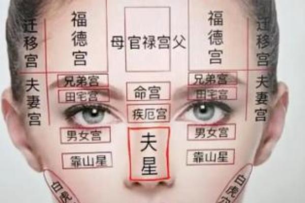 面相算命图解十二宫之：兄弟宫