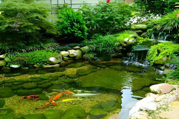 房子脚下建鱼池风水 房子脚下建鱼池风水