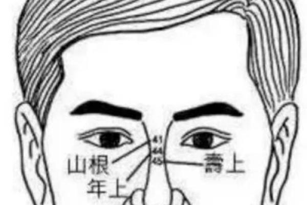 面相解析:从山根看相算命 面相解析:从山根看相算命