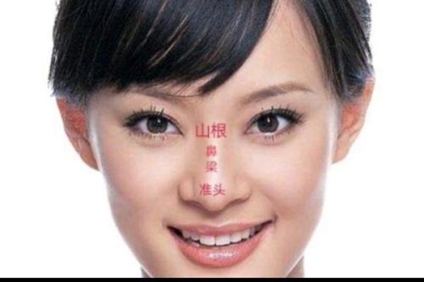 面相解析:从山根看相算命 面相解析:从山根看相算命