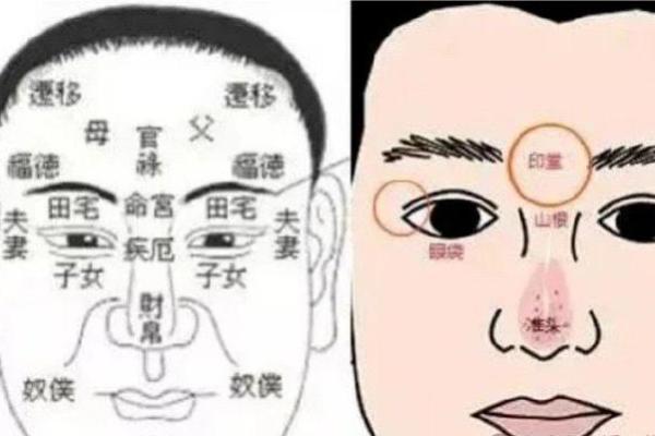 日本面相学：下巴算命