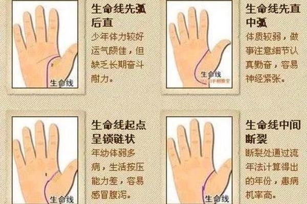 手相图解大全女 右手 算命 手掌红润柔软