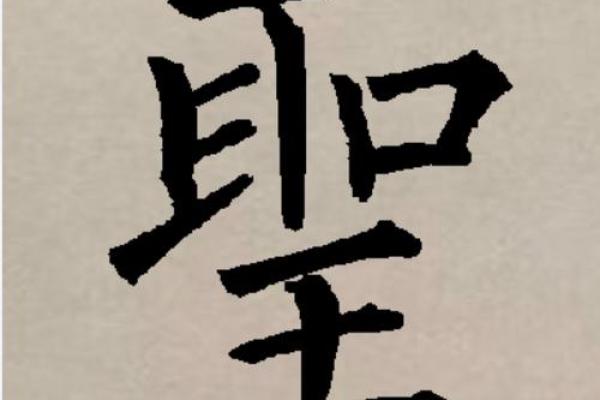 八字真言视频 八字真言视频
