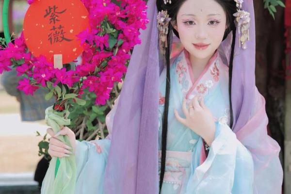 美女的紫薇斗数