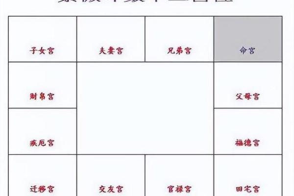 紫薇斗数有人请客