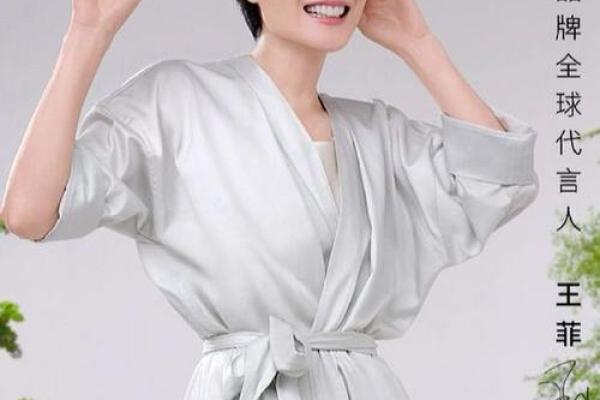 王菲紫薇斗数盘