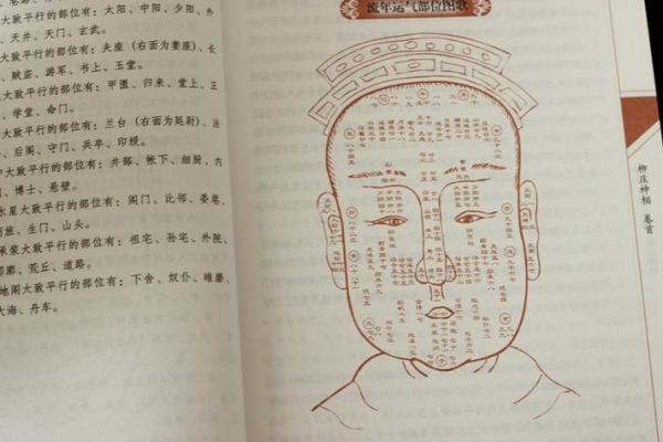 八字算命看长相准不准 八字算命看长相准不准