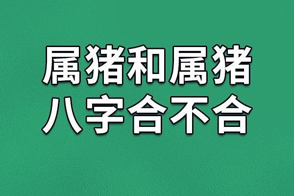 93鸡95猪八字合不合 比较相合的一对 93鸡95猪八字合不合 比较相合的一对
