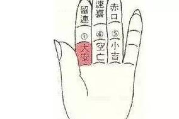 掐指一算口诀 算命先生你能告诉我未来吗