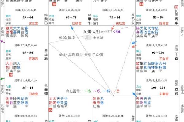 紫薇斗数文昌命宫 紫薇斗数文昌命宫