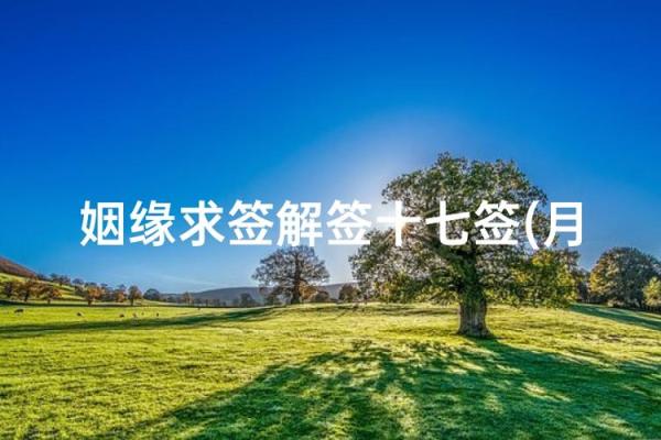 月老灵签第17签解签