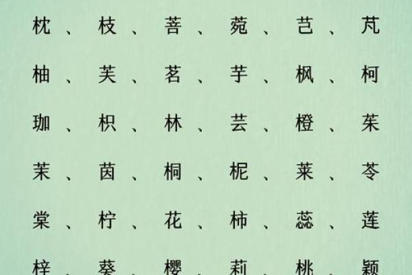 2025牛年中元节出生的女孩八字缺木名字 积极向上名字推荐
